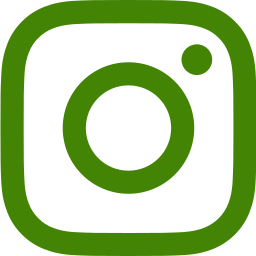 https://bodiceanddoublet.com/wp-content/uploads/2025/04/instagram.png